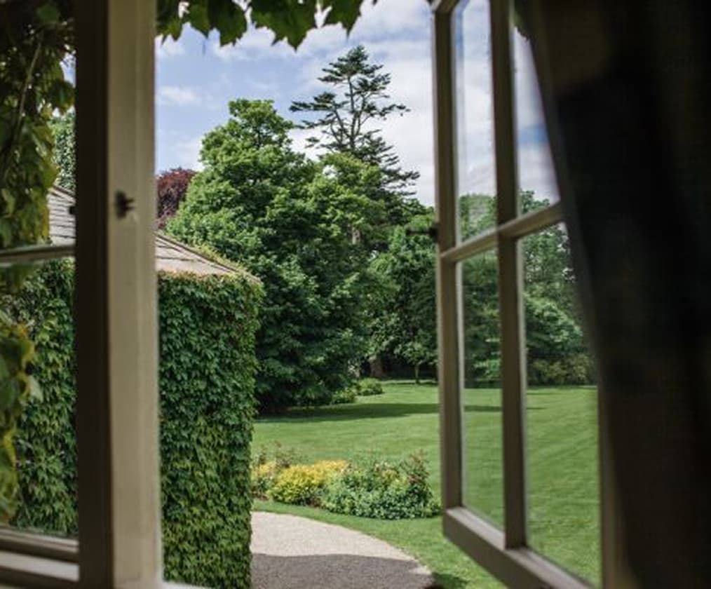 Vue sur jardin depuis une fenêtre